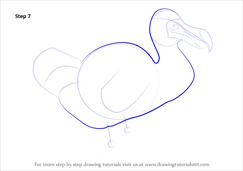 Learn How to Draw a Dodo (Birds) Step by Step Drawing Tutorials