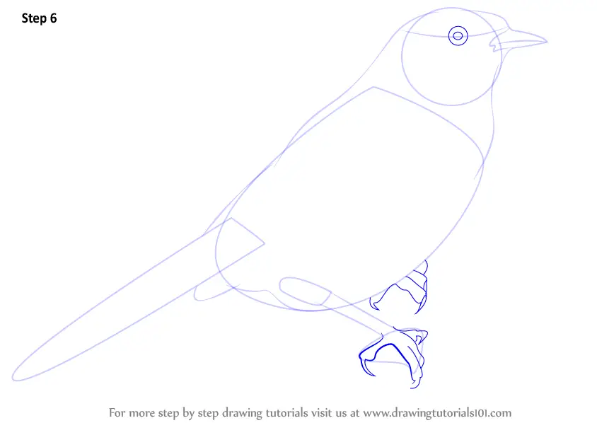 Learn How to Draw a Dunnock (Birds) Step by Step : Drawing Tutorials