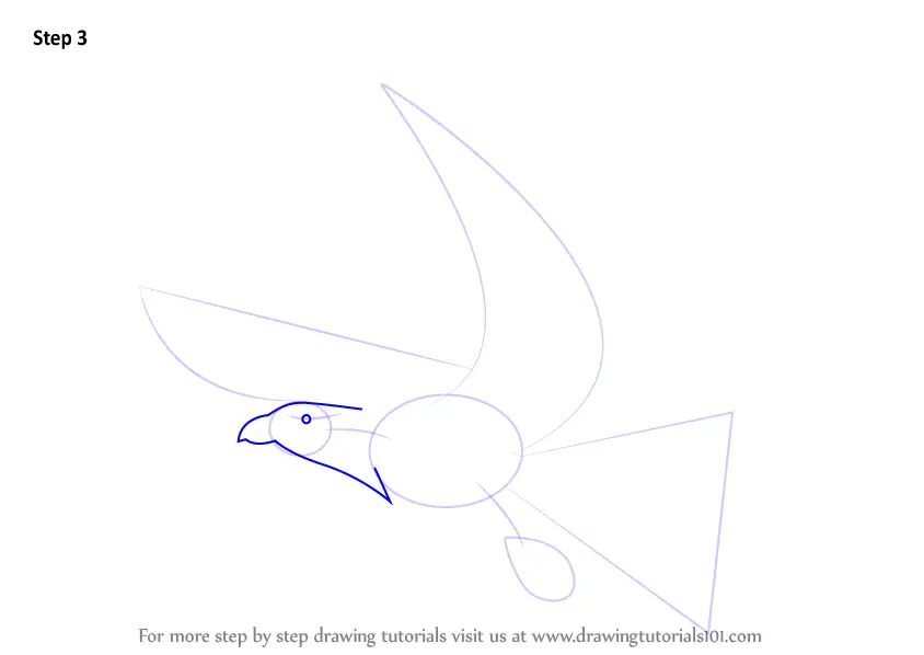 Learn How to Draw an Eagle for Kids (Birds) Step by Step : Drawing