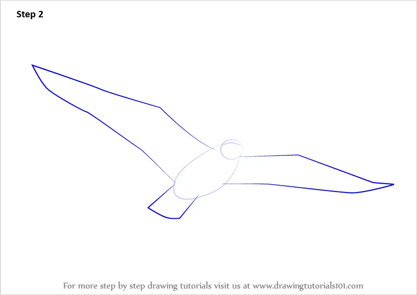 Learn How to Draw a Flying Bird (Birds) Step by Step : Drawing Tutorials