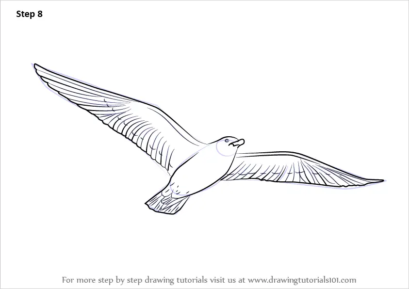flying bird sketch