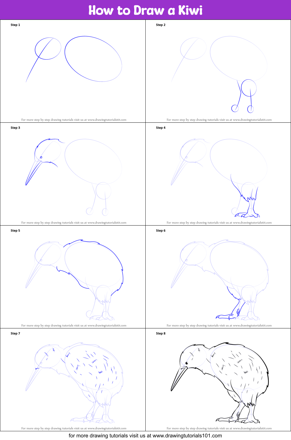 How to Draw a Kiwi printable step by step drawing sheet