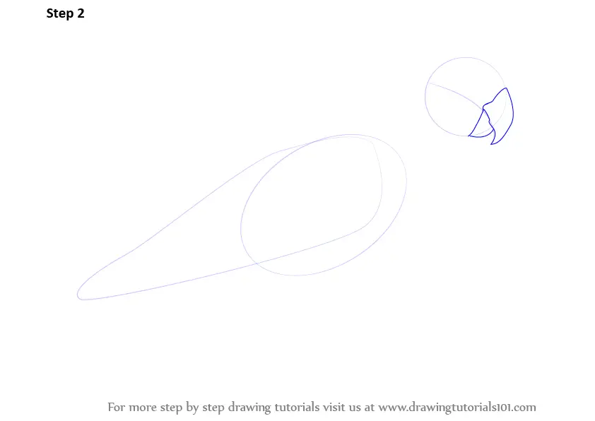 Learn How to Draw Love Birds (Birds) Step by Step : Drawing Tutorials