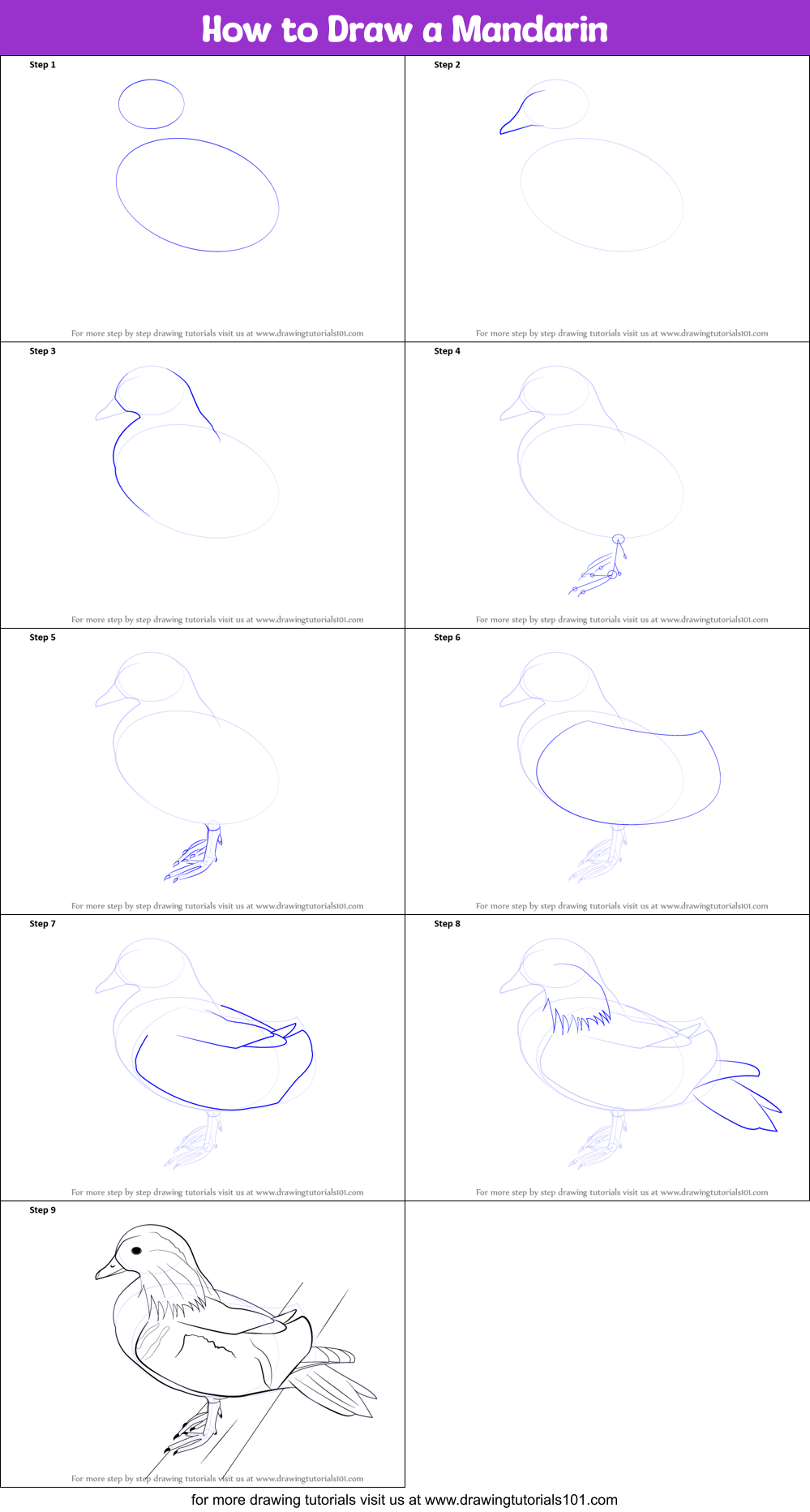 how-to-draw-a-mandarin-printable-step-by-step-drawing-sheet