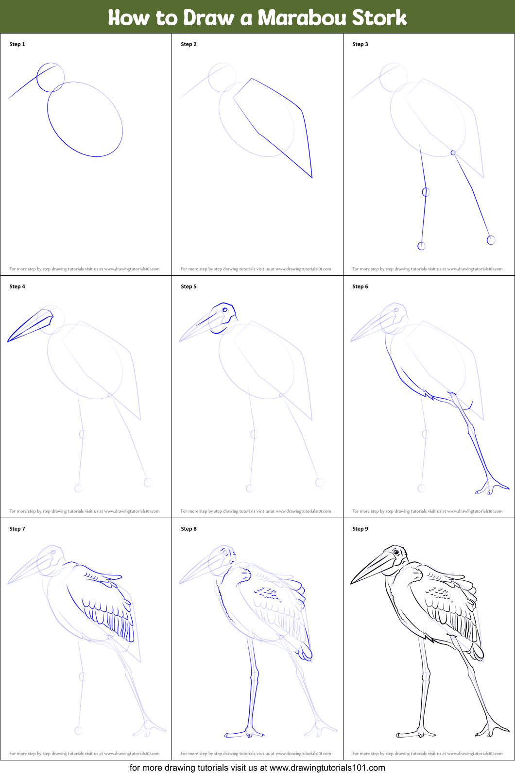 How to Draw a Marabou Stork printable step by step drawing sheet