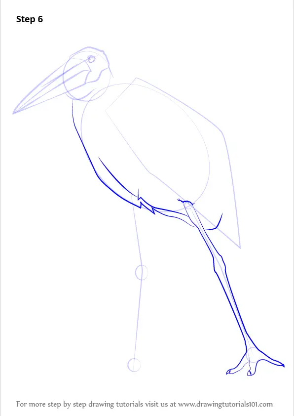 Step by Step How to Draw a Marabou Stork