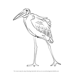 How to Draw a Marabou Stork