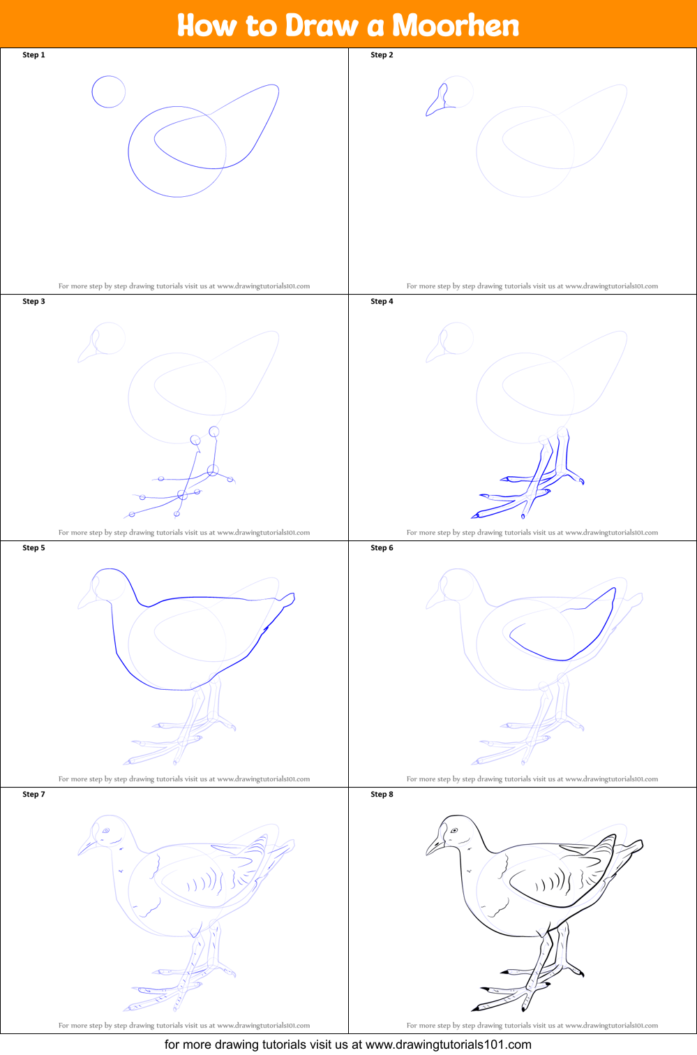 How to Draw a Moorhen printable step by step drawing sheet ...