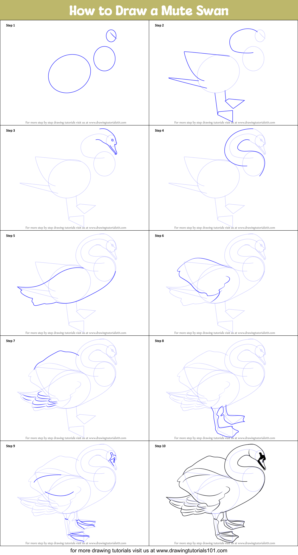 How to Draw a Mute Swan printable step by step drawing sheet ...