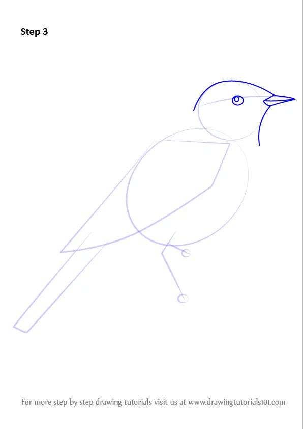 Nightingale in flight  Sparrow tattoo Bird drawings Birds tattoo