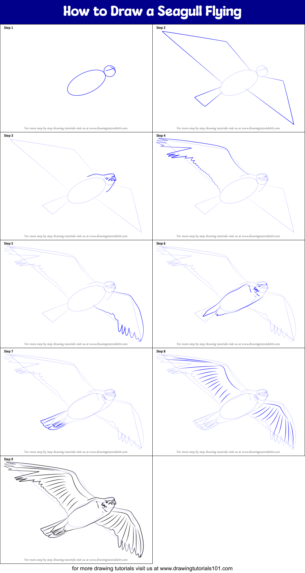 How to Draw a Seagull Flying printable step by step drawing sheet