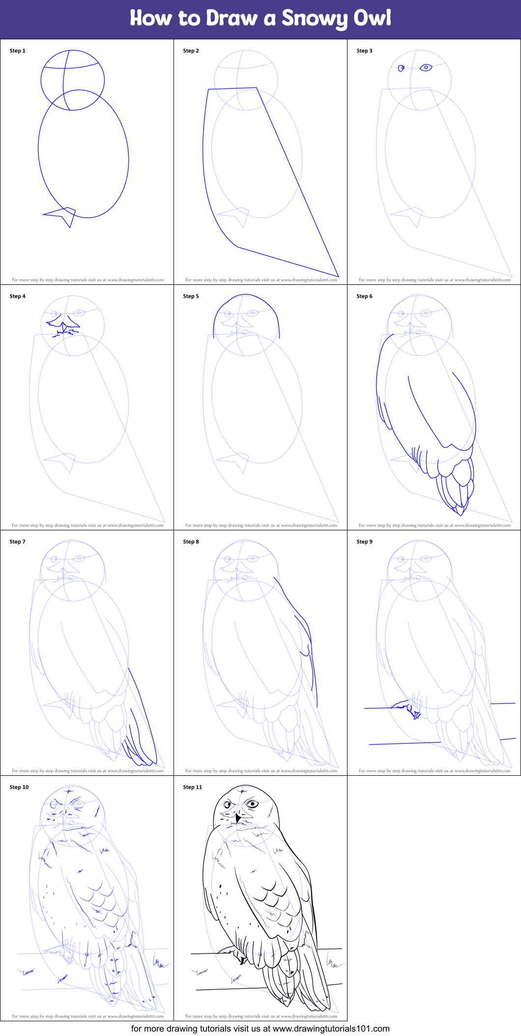 How to Draw a Snowy Owl printable step by step drawing sheet