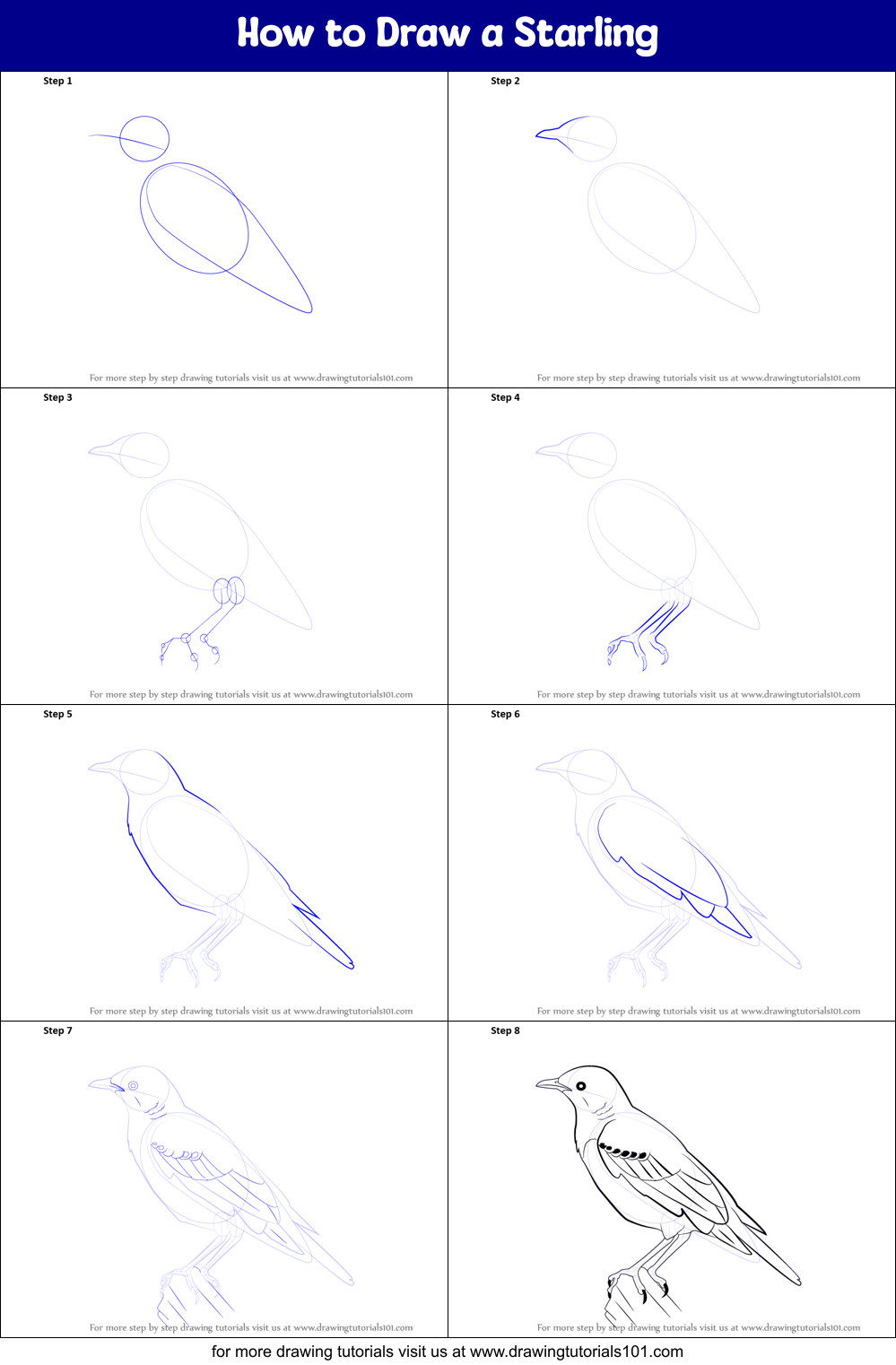 How to Draw a Starling printable step by step drawing sheet ...