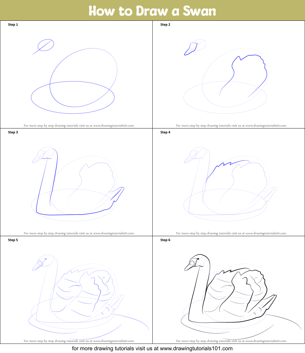 How To Draw A Swan Step By Step Easy At Drawing Tutorials