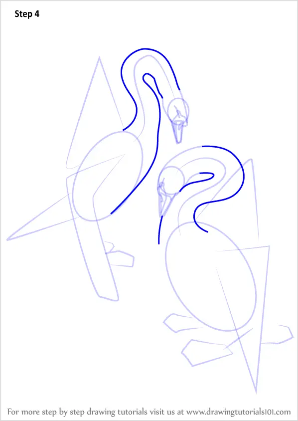 Learn How to Draw a Swans in Love (Birds) Step by Step : Drawing Tutorials