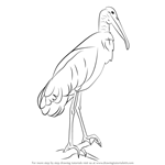 How to Draw a Wood Stork