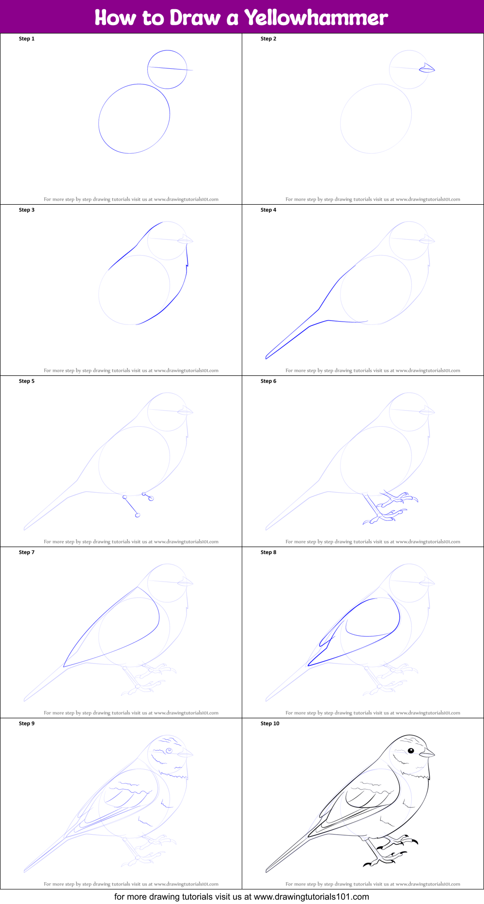How to Draw a Yellowhammer printable step by step drawing sheet ...