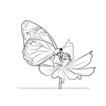 How to Draw a Butterfly on Flower