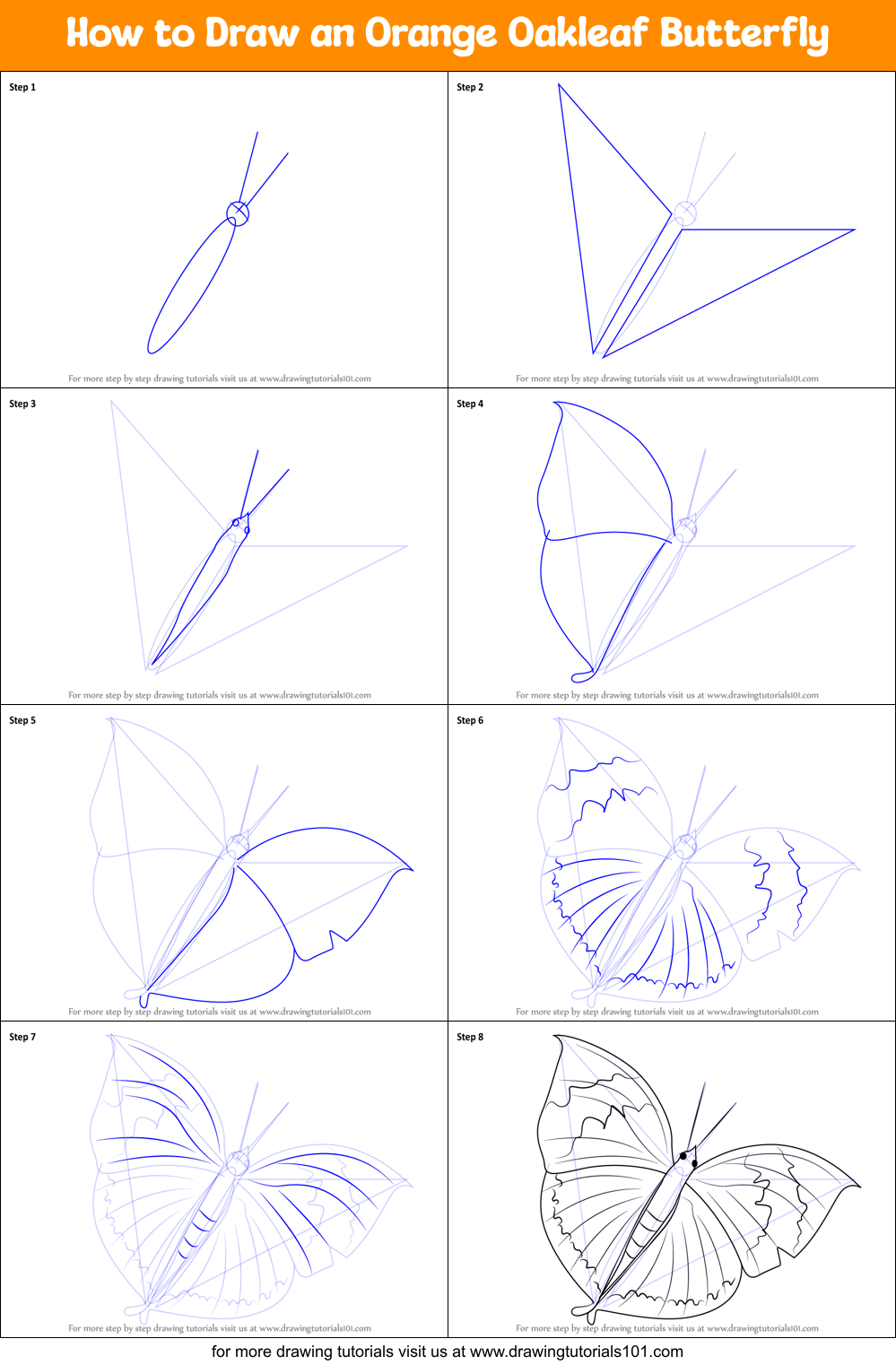 How to Draw an Orange Oakleaf Butterfly printable step by step drawing ...