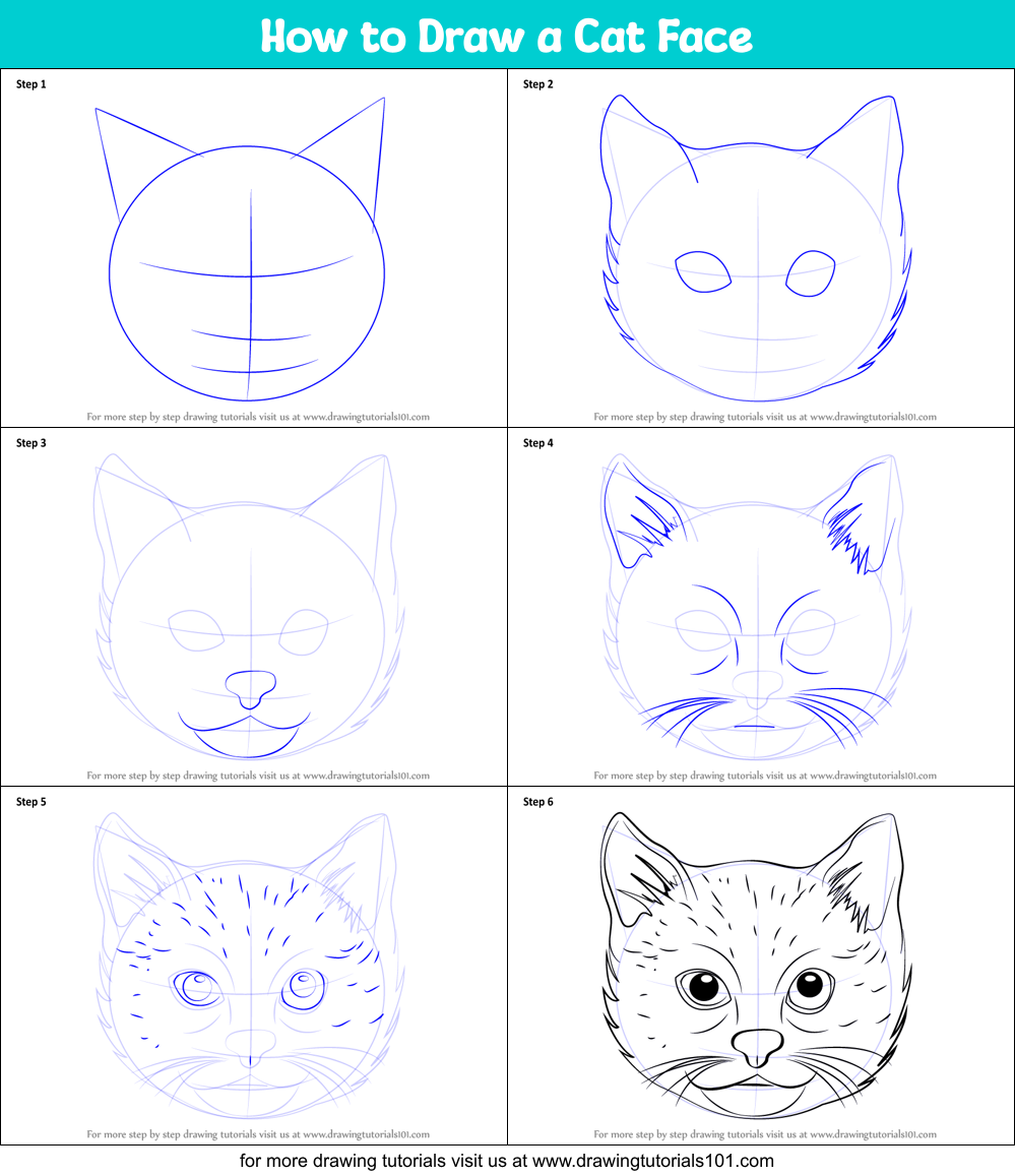How to Draw a Cat Face printable step by step drawing sheet