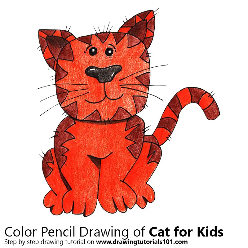 cat drawing color