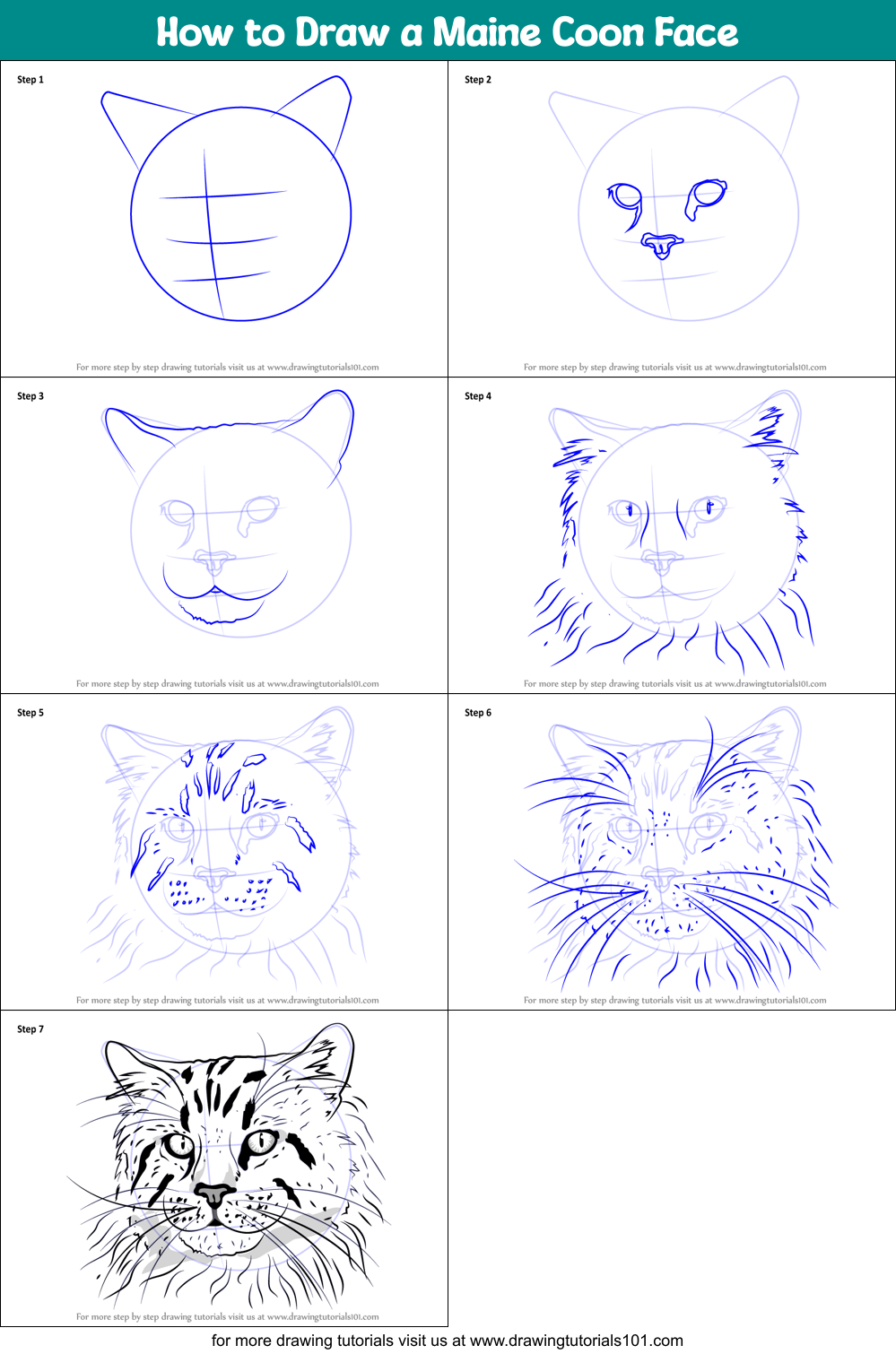 How to Draw a Maine Coon Face printable step by step drawing sheet