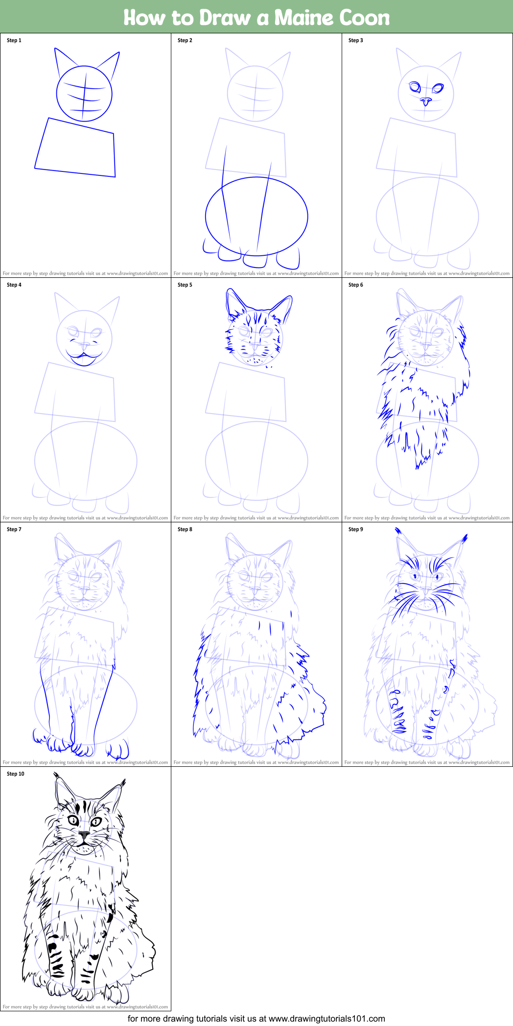 How to Draw a Maine Coon printable step by step drawing sheet