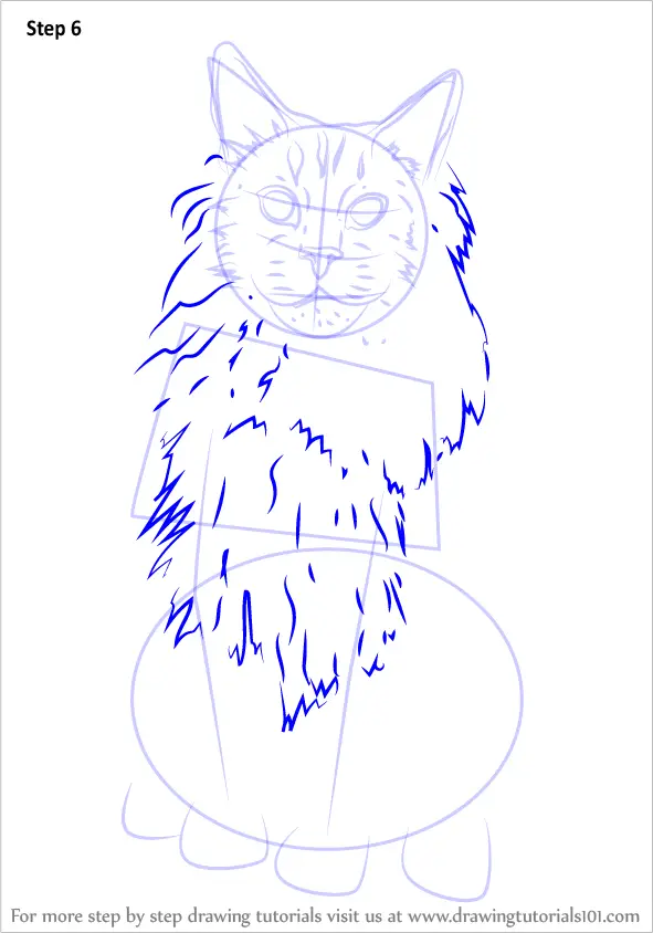 Learn How to Draw a Maine Coon (Cats) Step by Step Drawing Tutorials