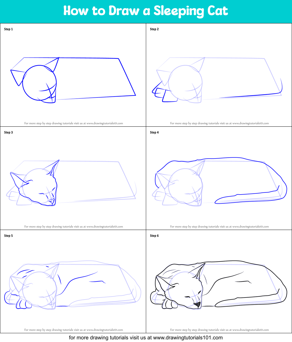How to Draw a Sleeping Cat printable step by step drawing sheet