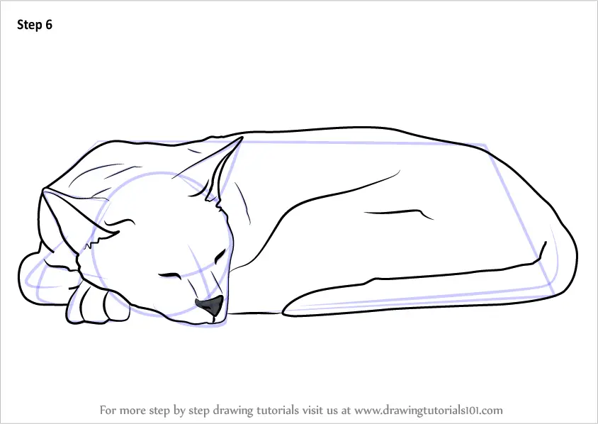 Learn How to Draw a Sleeping Cat (Cats) Step by Step Drawing Tutorials