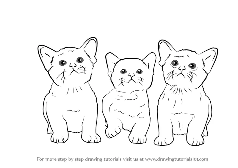 Learn How to Draw Three Kittens (Cats) Step by Step Drawing Tutorials