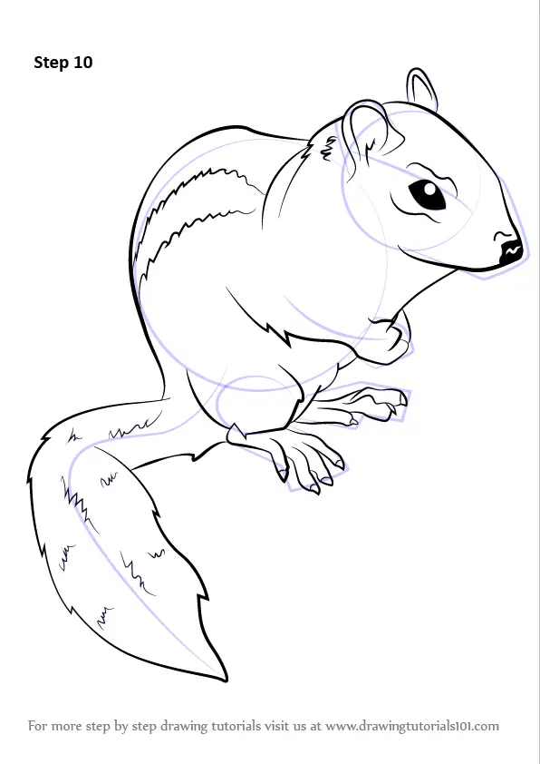 Learn How to Draw an Eastern Chipmunk (Chipmunks) Step by Step