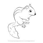 Chipmunks Drawing Tutorials - Step by Step : DrawingTutorials101.com