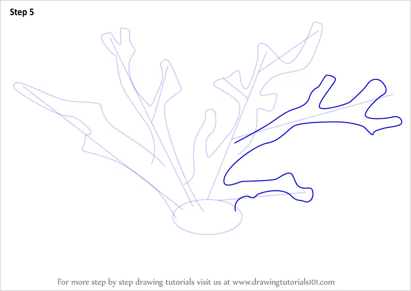 Learn How to Draw a Red Coral (Corals) Step by Step Drawing Tutorials