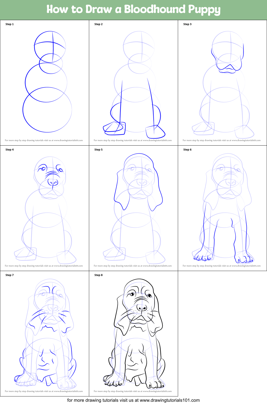 How to Draw a Bloodhound Puppy printable step by step drawing sheet ...