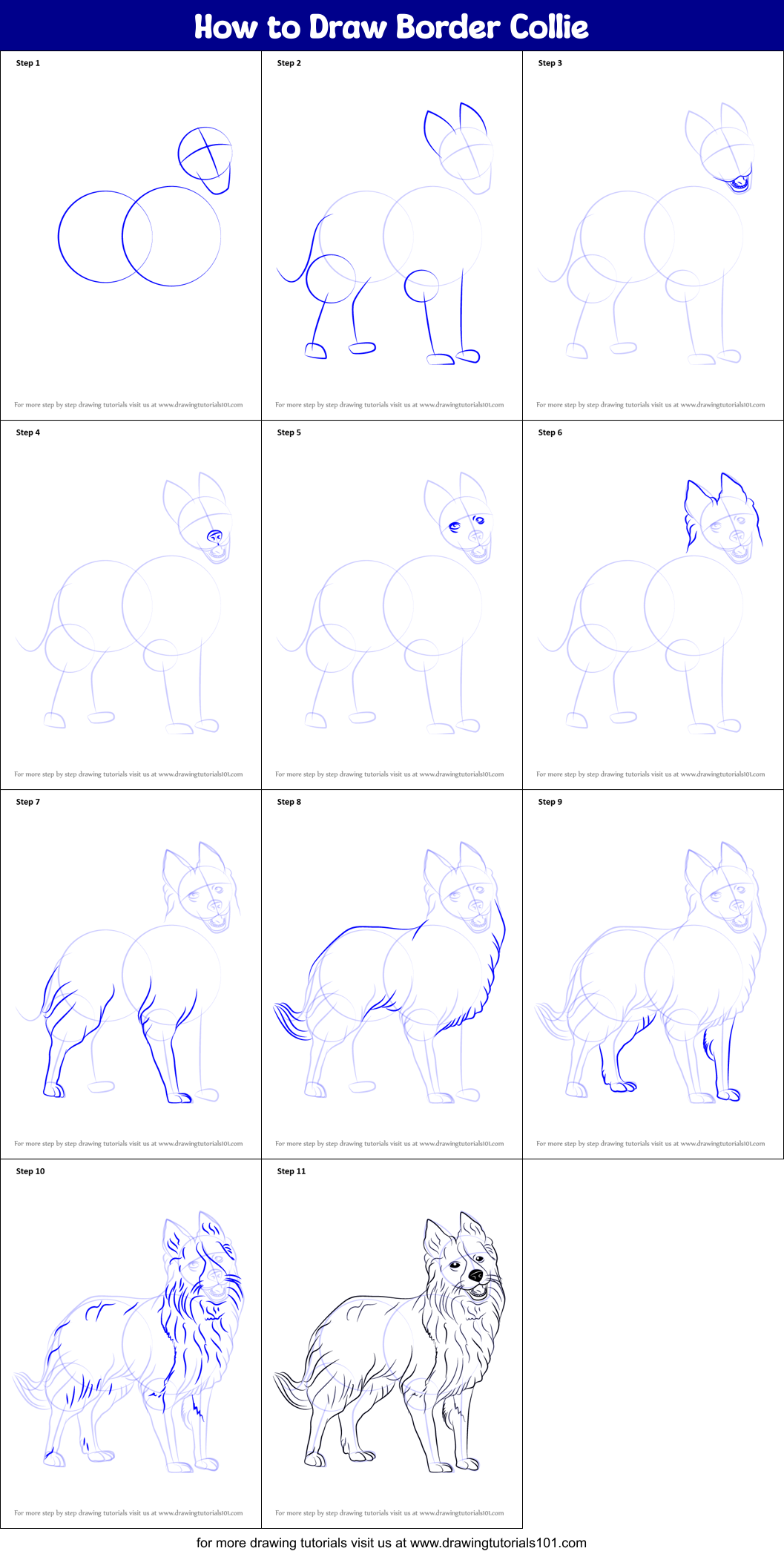 how-to-draw-border-collie-printable-step-by-step-drawing-sheet