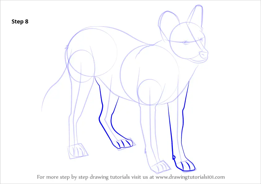 Learn How to Draw a Dhole (Dogs) Step by Step : Drawing Tutorials