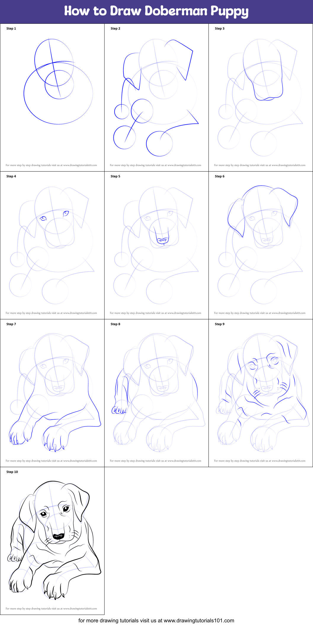 How to Draw Doberman Puppy printable step by step drawing sheet ...