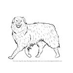 How to Draw a Dog Walking