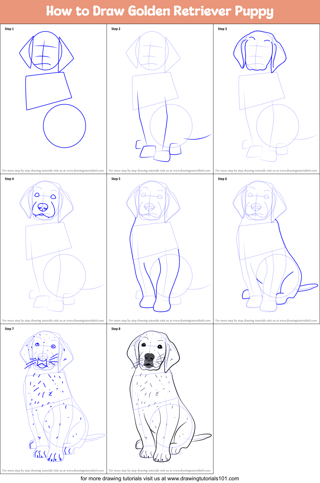 How to Draw Golden Retriever Puppy printable step by step