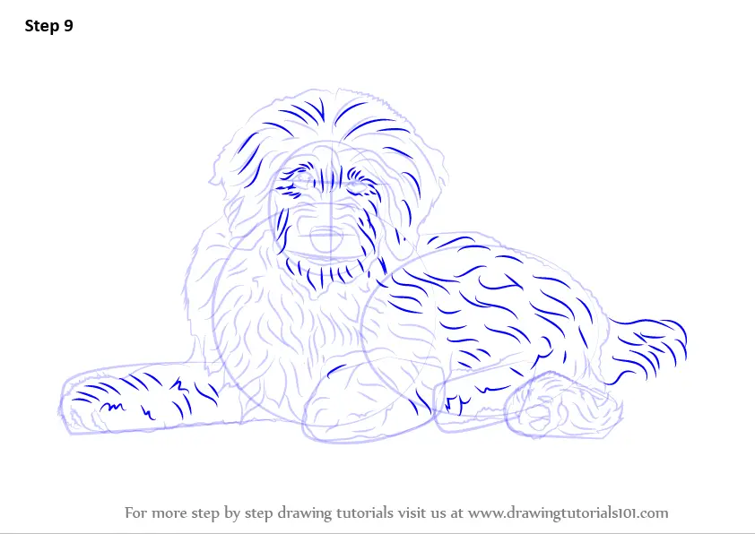 Learn How to Draw a Goldendoodle (Dogs) Step by Step : Drawing Tutorials
