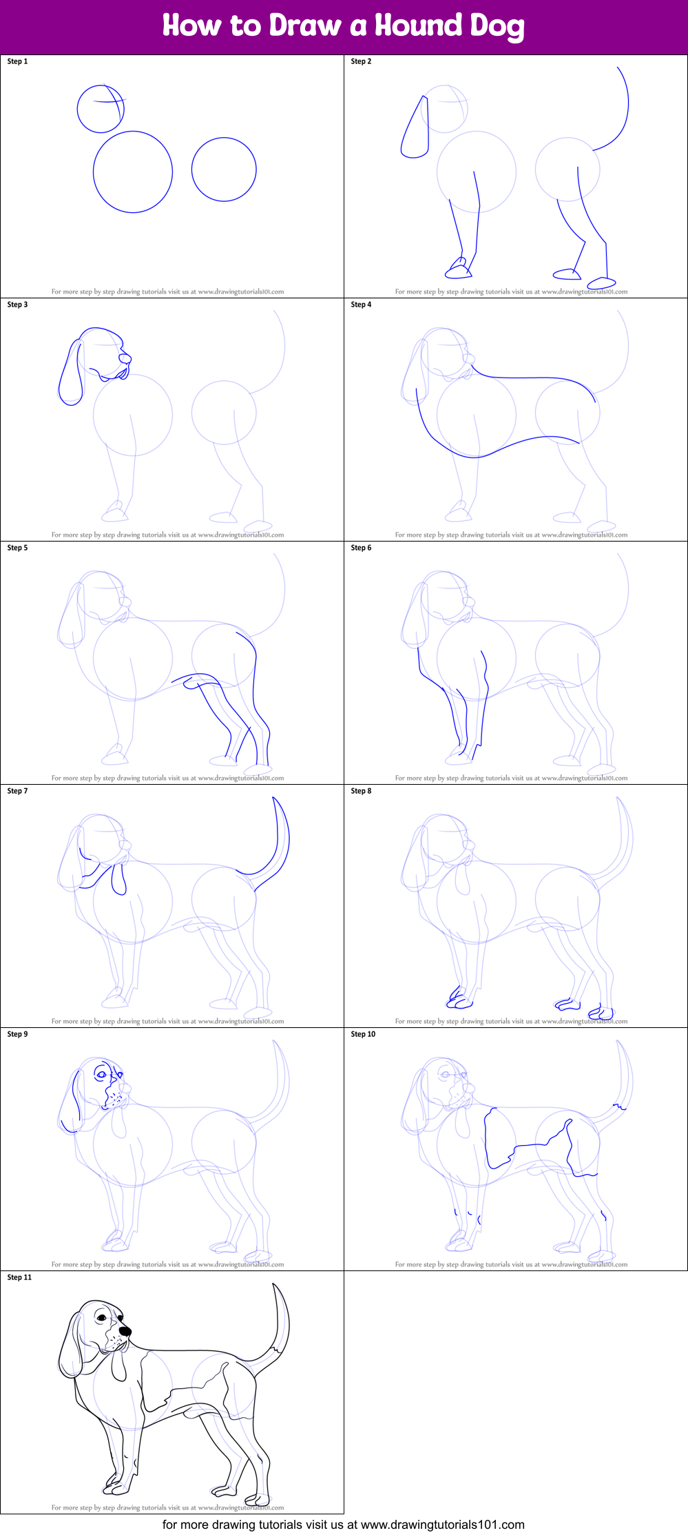 How to Draw a Hound Dog printable step by step drawing sheet