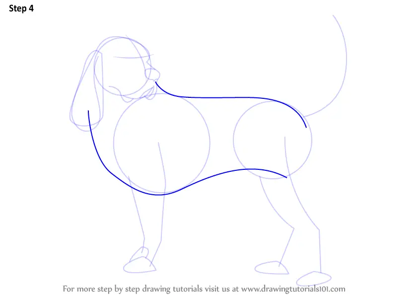 Step by Step How to Draw a Hound Dog : DrawingTutorials101.com