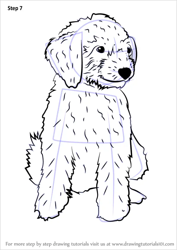 Download Learn How to Draw a Mini Goldendoodle (Dogs) Step by Step ...