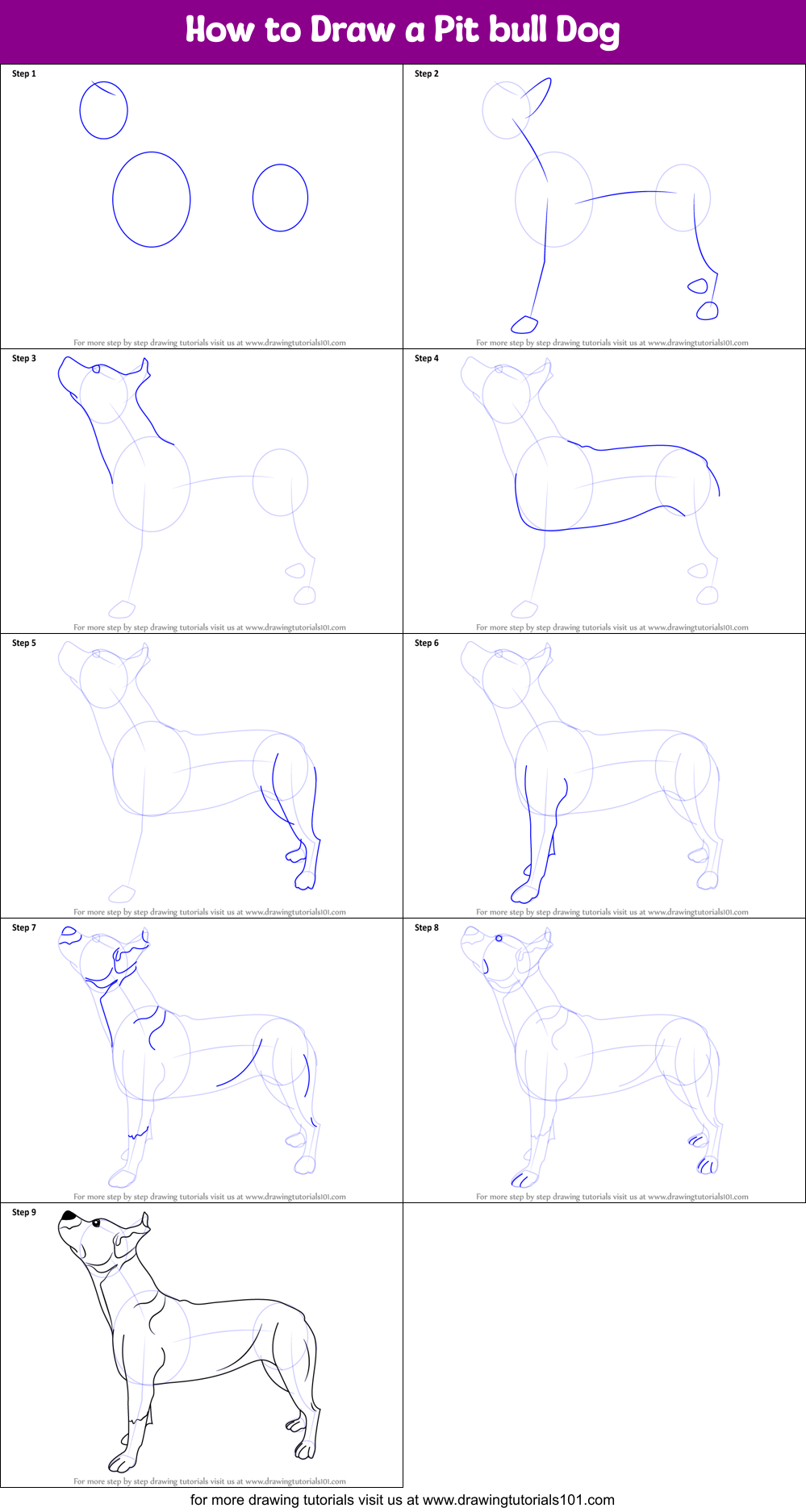 How To Draw A Pit Bull Dog Printable Step By Step Drawing Sheet