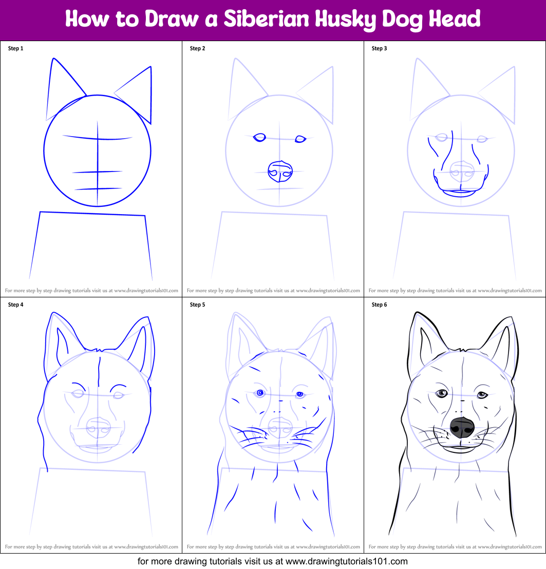 how to draw a cute husky puppy step by step