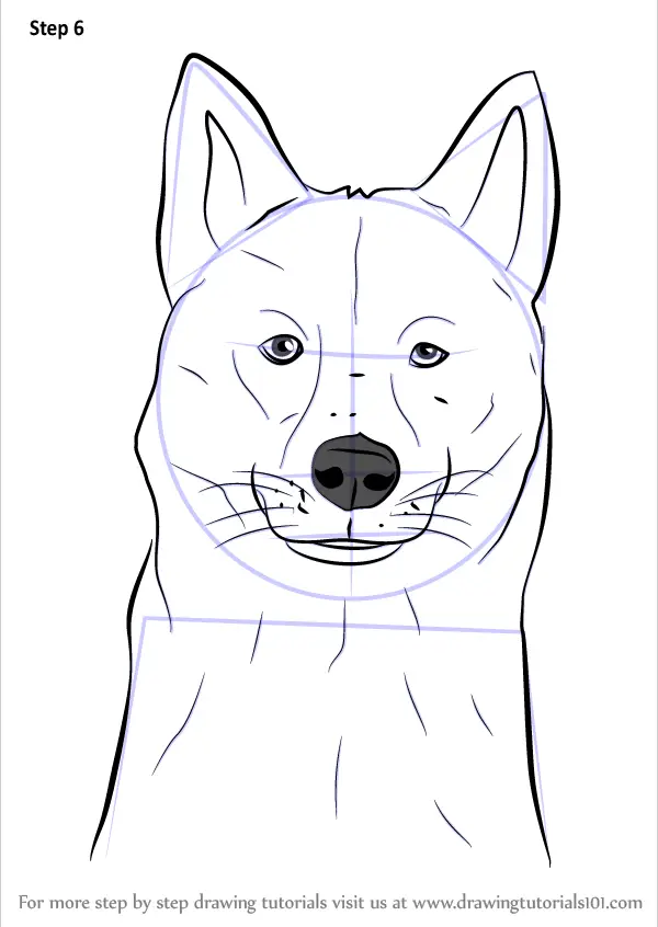 Learn How to Draw a Siberian Husky Dog Head (Dogs) Step by Step