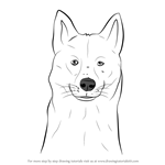 How to Draw a Siberian Husky Dog Head