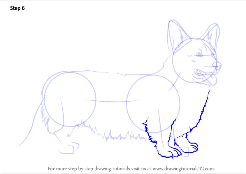 Как нарисовать корги карандашом поэтапно для начинающих