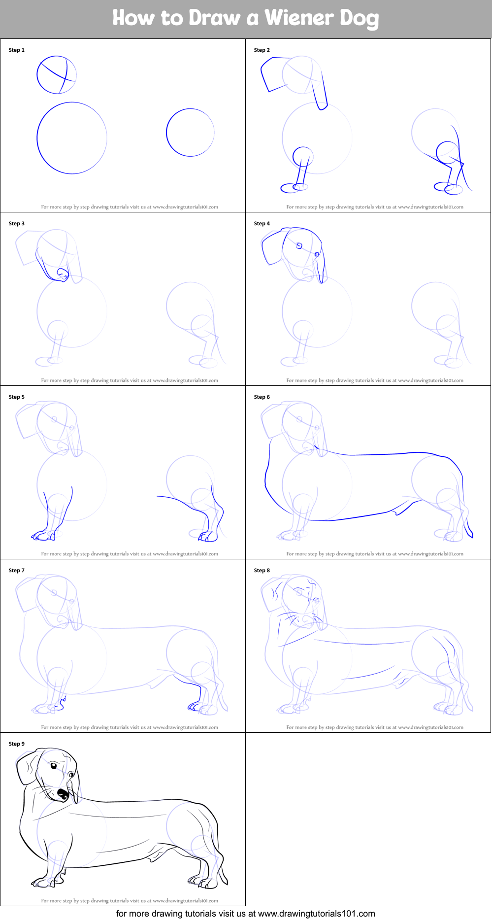 How to Draw a Wiener Dog printable step by step drawing sheet